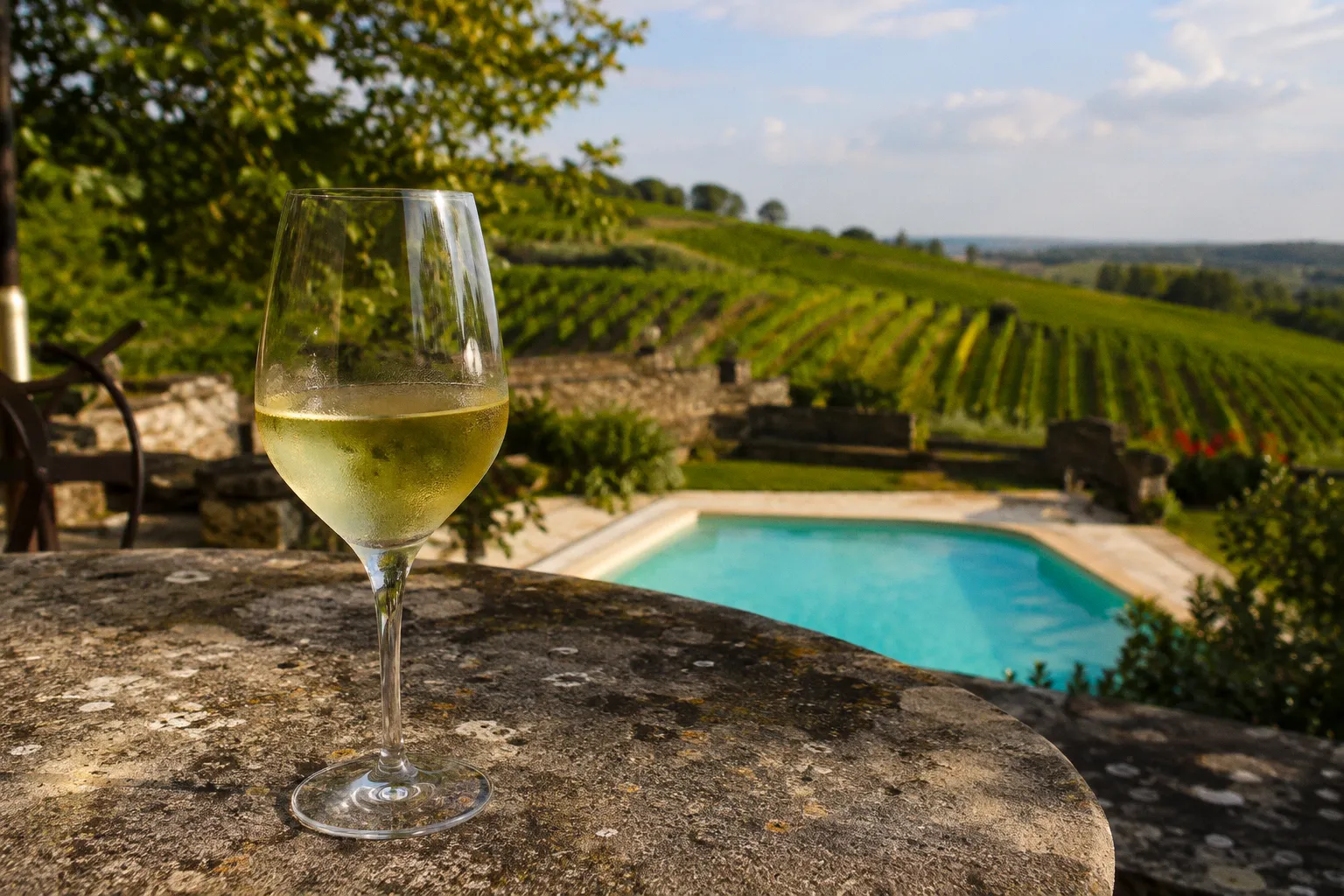 Bergerac Wine Tours: A Pre-Tasting Planning Checklist