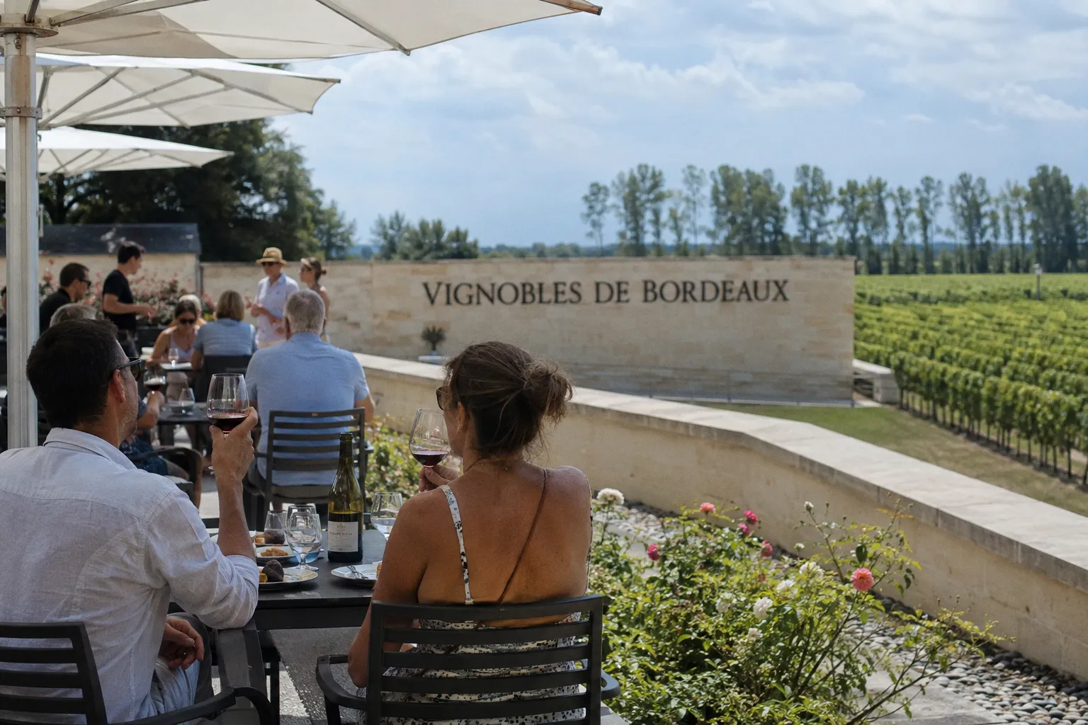 Bordeaux Fire Myths Debunked as Regional Tourism and Wine Sectors Rebound