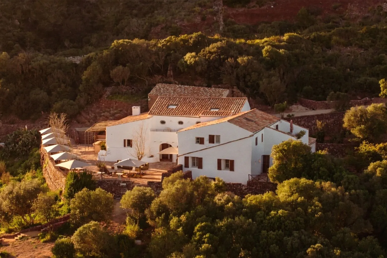 Defining the True Wine Estate Experience: What Makes a Property Authentic