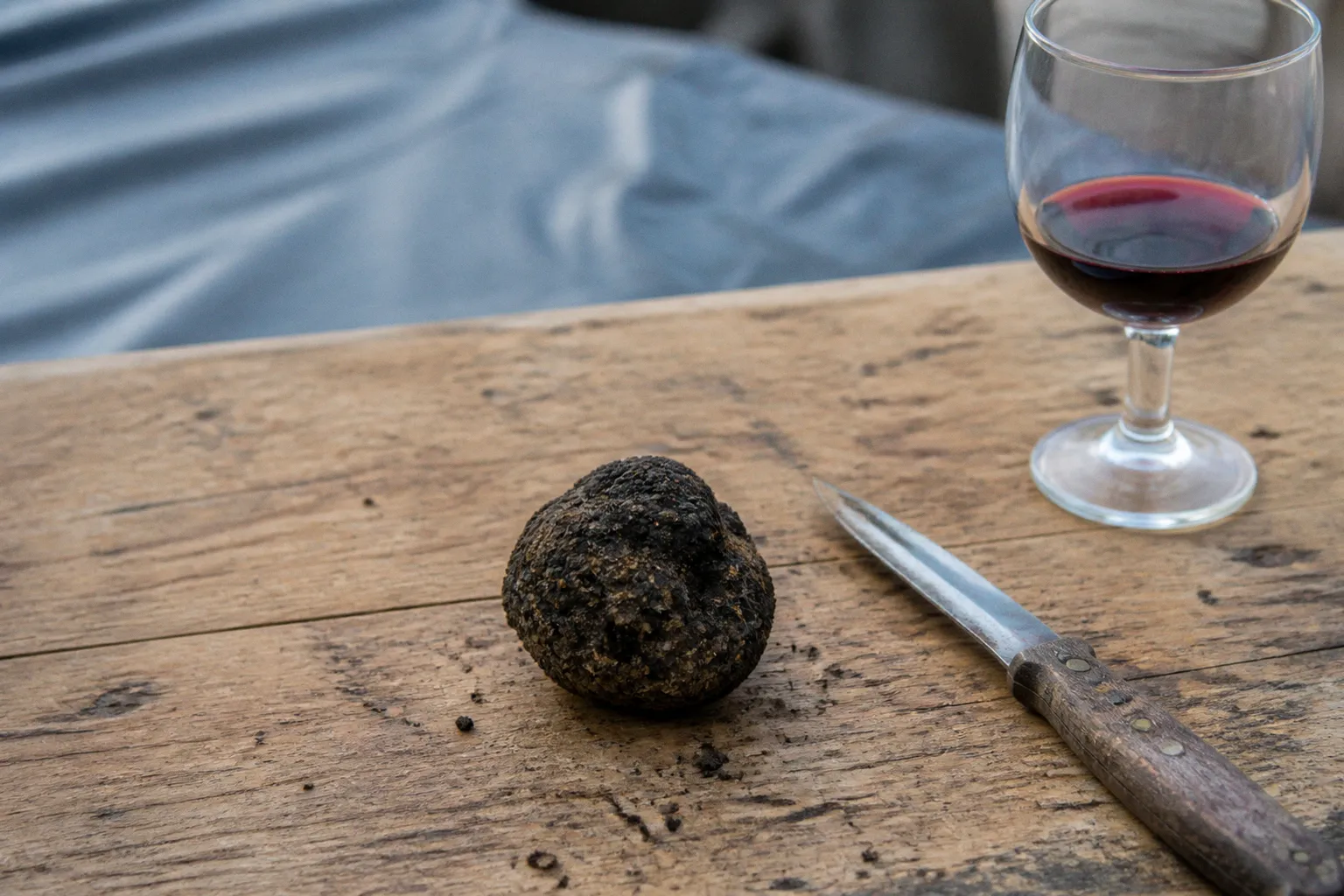 Sainte-Alvère vs Sarlat: two Périgord truffle routes